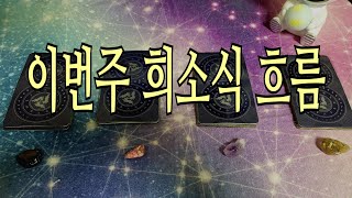 [타로/주간] 이번주 신나는 희소식, 흐름 (2/10~16)