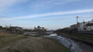 広島の御幸川橋　　　＼(^▽^)／