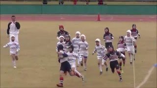 キッズラグビーとりみ　2015待ってろ花園　4年生準決勝