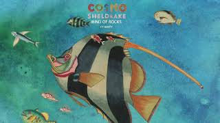 Cosmo Sheldrake ft. Bunty - Mind of Rocks