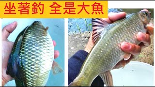 坐著釣 底下全是大魚 @意外獲得 衛冕者寶座