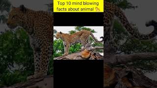 Top 10 mind blowing facts about animal / bakalol facts #short #youtube #bakalolfacts