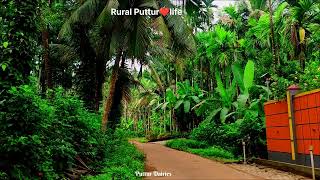 Beauty of Rural life in Puttur❤️❤️