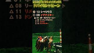 ドバイゴールデンシャヒーン予想（2024年3月30日深夜メイダン6R）