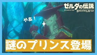 【ゼルダの伝説BotW #11】イケメン王子に首ったけ！？新エリア、ゾーラの里を目指す