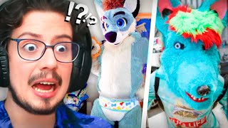 EL INCHEQUEABLE ICEBERG FURRY 🧊🦊