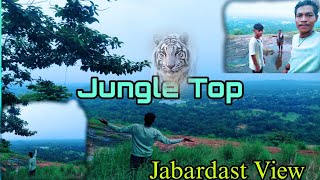 Jungle Ra🦓Top K Ganu🔥||ଜଙ୍ଗଲ୍ ର ଟପ୍ କେ ଗନୁ||Pritamoffcialvlog ||Sambalpurivlog ||