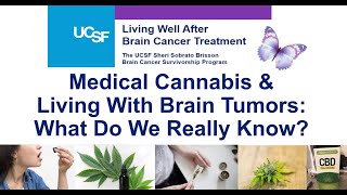 Medical Cannabis for Those Living With Brain Tumors: What Do We Really Know?