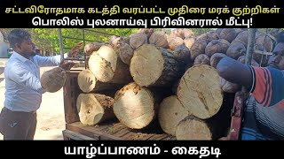 சட்டவிரோதமாக கடத்தி வரப்பட்ட முதிரை மரக் குற்றிகள் பொலிஸ் புலனாய்வு பிரிவினரால் மீட்பு!