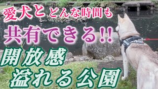 🐶若葉台公園😻　開放感があり季節の花々が楽しめる！！自然に囲まれた公園