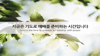 [두란노교회 방화예배당 ]25-1-14-화-새벽기도회  (창 5 : 15~32)