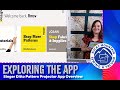 Exploring the App of the Ditto Pattern Projection System