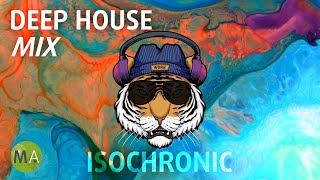 Peak Focus For Complex Tasks - Deep House Tiger Mix  Isochronic Tones