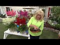 phillip watson designs 4 piece made in the shade astilbe on qvc