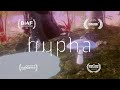 Hypha Trailer | Wildscreen Official Selection 2022
