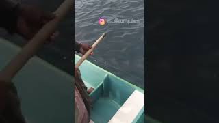 7kg💥❗️💢 சிலா மீன் எப்படி வருகுதுன்னு பாருங்க #sorts #கடலோடி #fisherman #fishingtips #fisherman