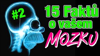 15 Faktů o vašem Mozku #2