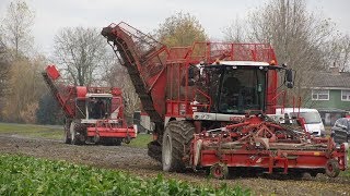 Vervaet Jong en Oud in de suikerbietenoogst Trekkerweb