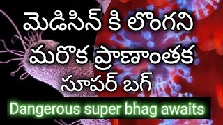 మెడిసిన్ కి లొంగని ప్రాణాంతకమైన సూపర్ బగ్ ఇండియాలో Recognition in India for the deadly super bug