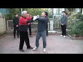 taijiquan fajin 태극권 금강도대