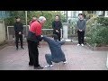 taijiquan fajin 태극권 금강도대