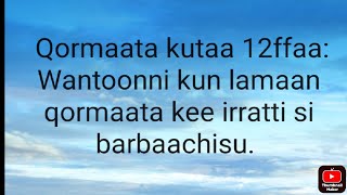 Qormaata kutaa 12ffaa: Wantoonni kun lamaan baay'ee isin gargaaru