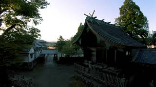 蜂の散歩　『賀来神社』　大分県大分市