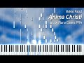 Anima Christi (arr. by Piano Covers PPIA) w/ sheet music