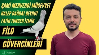 Fatih Tuncer Filo Güvercin Belgeseli