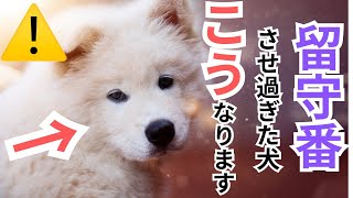 【超注意】狂暴になる⁉　留守番をさせ過ぎた犬の特徴5選