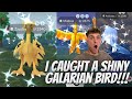 ✨I Caught a SHINY GALARIAN BIRD In Pokemon Go!!!✨