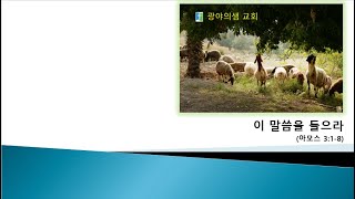 아모스3장1절8절 이 말씀을 들으라 20241206