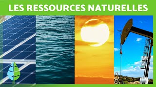 Que sont les RESSOURCES NATURELLES ? ☀️💧 (Définition, Classification et Exemples)