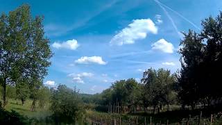 Clouds above my garden - 4k time lapse