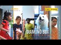 The Diamond Box | Final Episode | ദി ഡയമണ്ട് ബോക്സ് | അവസാന എപ്പിസോഡ് !