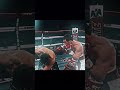 one punch 👊 knockout😰 by canelo🔥 shorts canelo boxing training