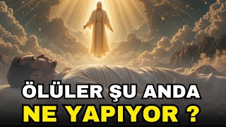 ÖLÜLERIN ŞU ANDA YAŞADIKLARI (ŞAŞIRTICI)