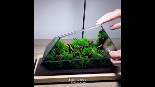 The Nova - sleek and elegant preserved moss terrarium by TerraLiving