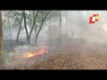 forest fire breaks out in keonjhar