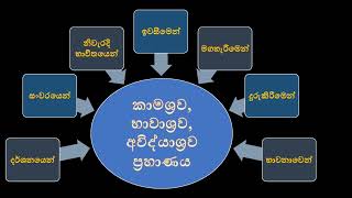 ආශ්‍රව ප්‍රහාණයට ක්‍රම