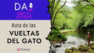 PROGRAMA 15: LAS VUELTAS DEL GATO (📍Tineo)