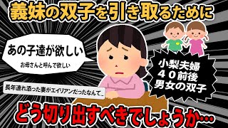 【報告者キチ】アラフォー小梨夫婦です。義妹の双子がめちゃカワイイ。「あの子達が欲しい、私をお母さんと呼んで欲しい」引き取るにはどう切り出すべきでしょうか…？【2ch ゆっくり解説】