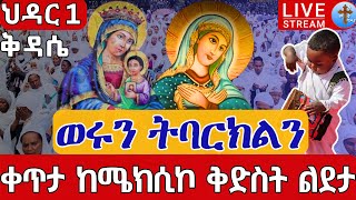 ⭕️Live #1_ልደታ❗️❗️ቀጥታ ከማኅደረ ስብሐት ቅድስት ልደታ ለማርያም ❗️❗️ህዳር 1 || live St. Lideta From mexico EOTC Nov 10