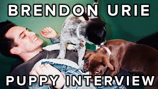 The Puppy Interview With Brendon Urie Of Panic! At The Disco