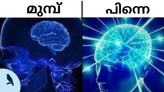 How To Be Effectively Intelligent in Malayalam | ബുദ്ധി വികസിപ്പിക്കുന്നത് എങ്ങനെ?