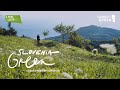 Slovenia Green | 🍃Green Story of Slovenia [Official documentary]