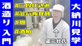 お酒造りに興味のある方必見！三段仕込みって何？並行複発酵ってどーゆーこと？【秋田県横手市大森町 株式会社大納川】