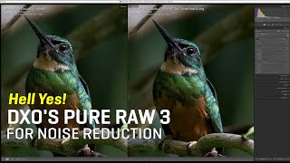 Hell Yes! You should try DXO's New PureRAW3 For Noise Reduction