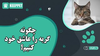 چگونه گربه را عاشق خود کنیم؟