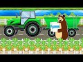 The Bear Farm: Harvest Beet Sugar and Tractor Driving to the Sugar Factory | Vehicles Farm Animated